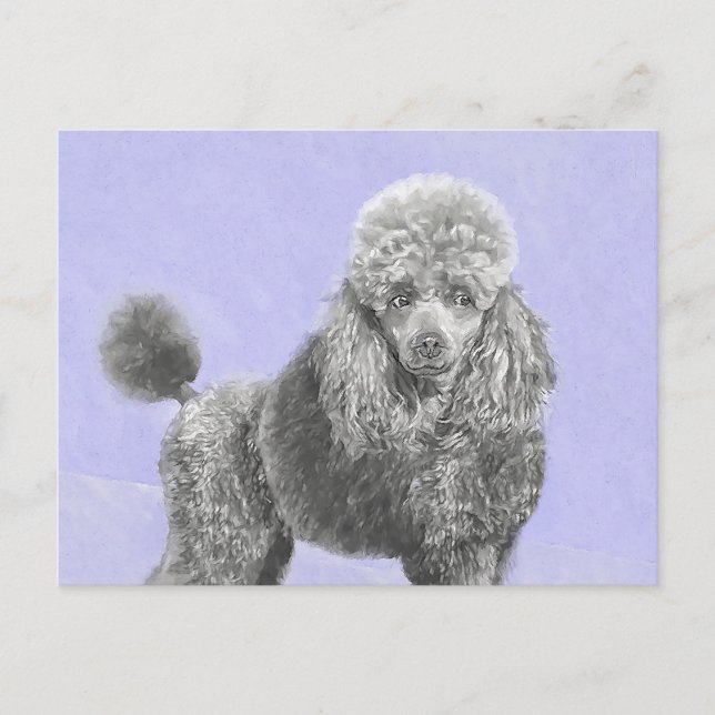 Poodle Miniature Toy Silver Gray Blue Dog Art Postcard (Front)