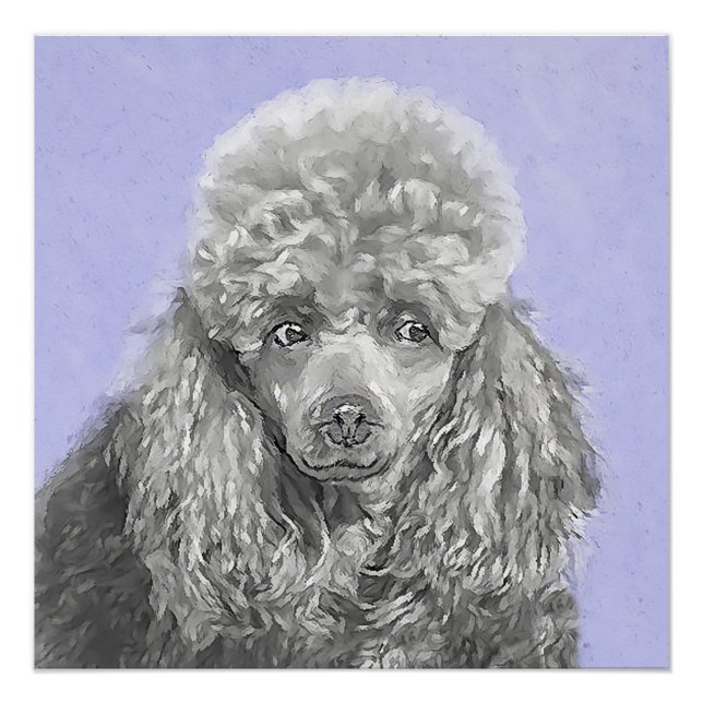 Poodle Miniature Toy Silver Gray Blue Dog Art Poster (Front)