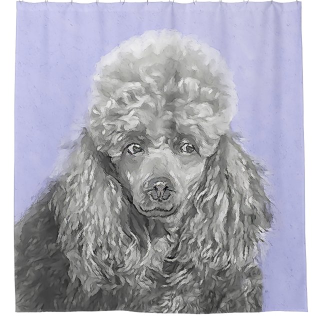 Poodle Miniature Toy Silver Gray Blue Dog Art Shower Curtain (Front)