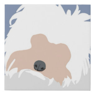 Poodle Mixee Faux Canvas Print