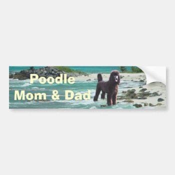 Poodle Mom & Dad Bumper Sticker by normagolden at Zazzle