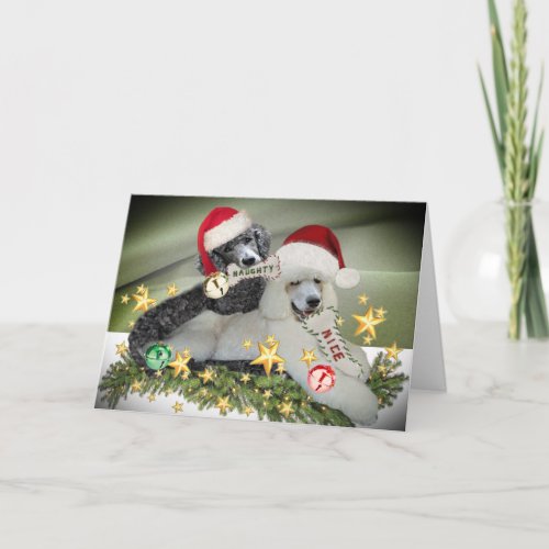 Poodle Naughty or Nice Christmas Cards