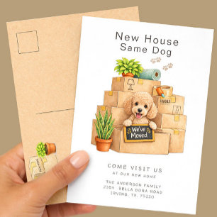 Poodle New House Moving Announcement Postcard