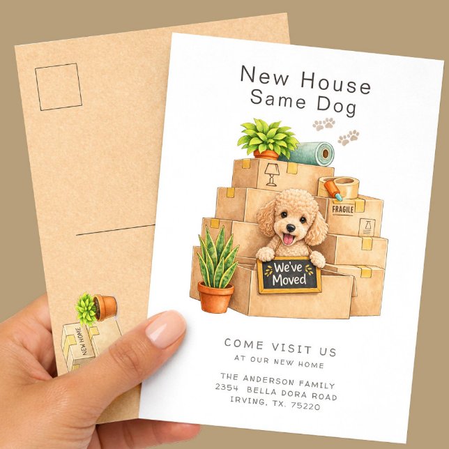 Poodle New House Moving Announcement  Postcard (Creator Uploaded)