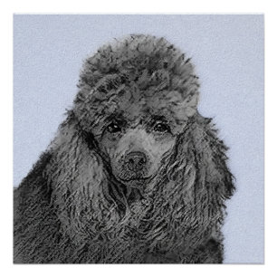 Poodle Painting Miniature Toy Black Original Art Poster