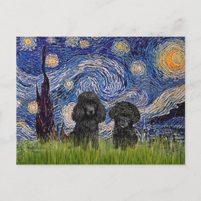 Poodle Pair (black) - Starry Night Postcard (Front)