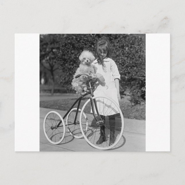 Poodle Perch, 1913 Postcard (Front)