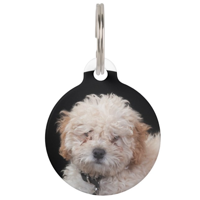 Poodle Pet ID Tag (Front)