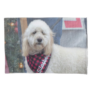 Poodle Pillow Case