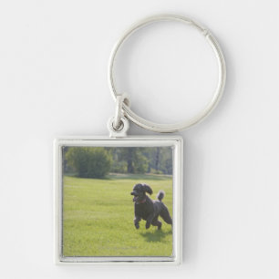 Poodle playing frisbee keychain