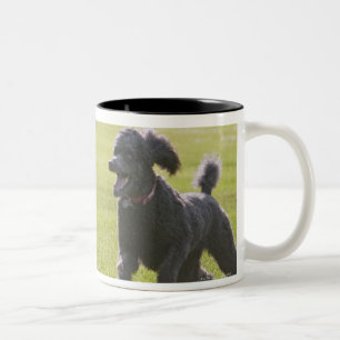 Poodle playing frisbee Two-Tone coffee mug