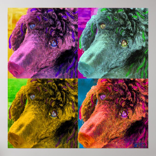 Poodle Pop Art Colorful Style Poster (Front)