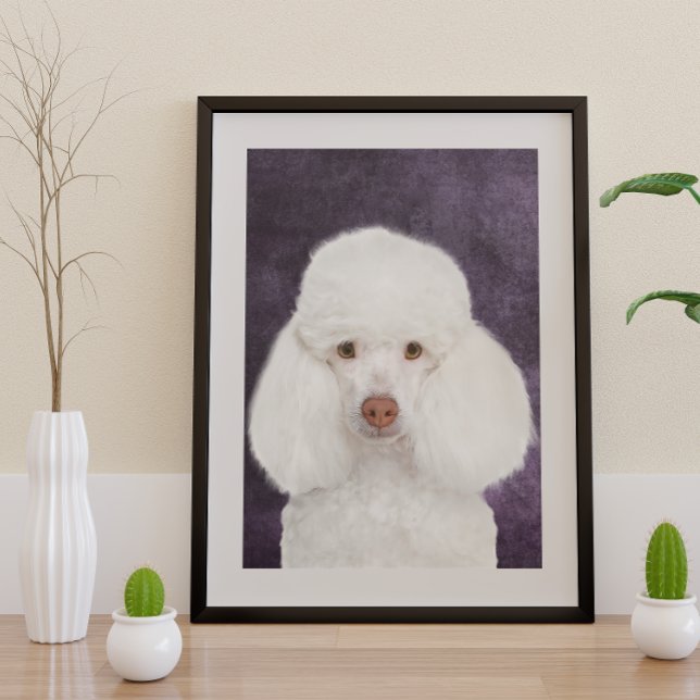 Poodle Poster (Creator Uploaded)