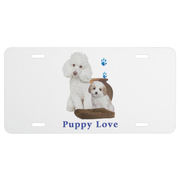 poodle products license plate Zazzle