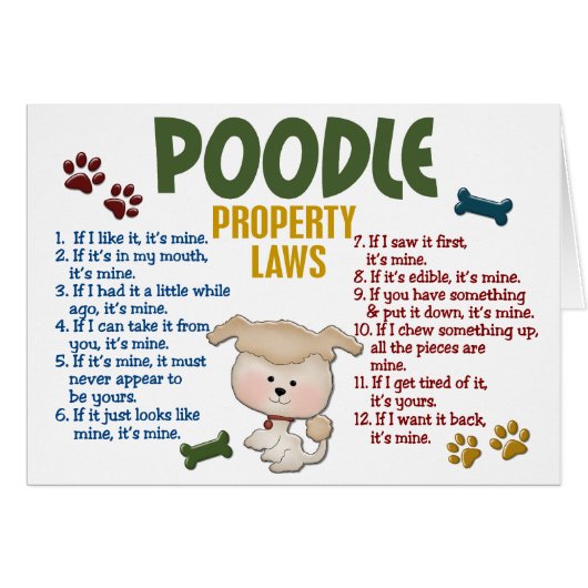 Poodle Property Laws 4 Cards (Front Horizontal)