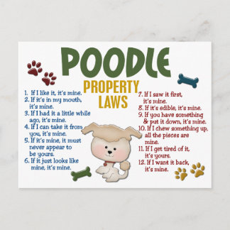 Poodle Property Laws 4 Postcard