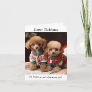 Poodle Puppies Christmas Card