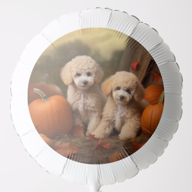 Poodle Puppy Autumn Delight Pumpkin Balloon (Front)