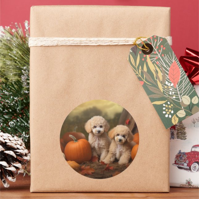 Poodle Puppy Autumn Delight Pumpkin Classic Round Sticker (Holiday)