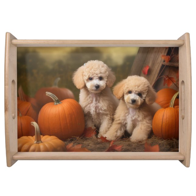Poodle Puppy Autumn Delight Pumpkin Serving Tray (Front)