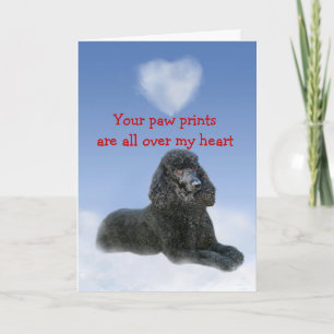 Poodle Puppy Love Card
