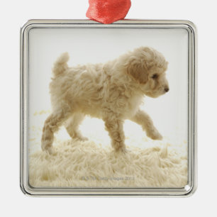 Poodle Puppy Metal Ornament