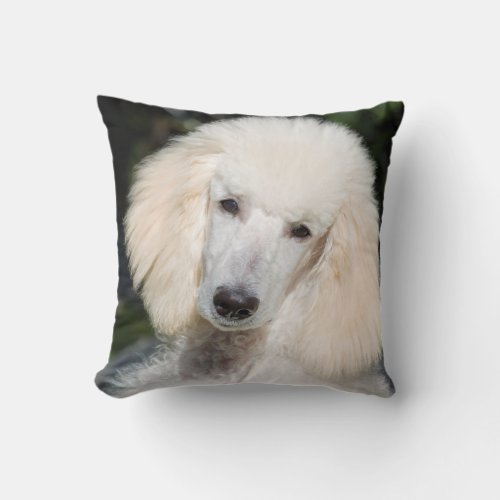 Poodle Puppy Portrait Throw Pillow