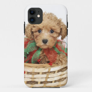 Poodle puppy sitting in Christmas basket iPhone 11 Case
