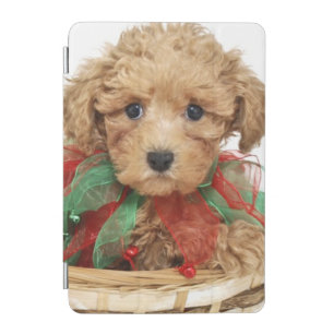 Poodle puppy sitting in Christmas basket iPad Mini Cover