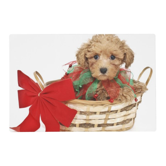 Poodle puppy sitting in Christmas basket Placemat (Front)