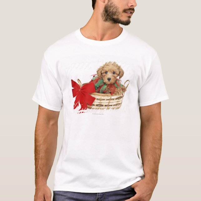 Poodle puppy sitting in Christmas basket T-Shirt (Front)