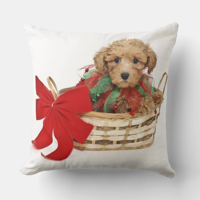 Poodle puppy sitting in Christmas basket Throw Pillow (Front)