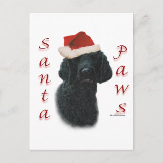 Poodle Santa Paws Holiday Postcard