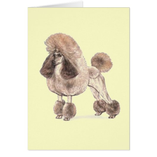 Poodle -- Show Coat Cards (Front)