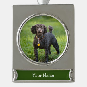 Poodle Silver Plated Banner Ornament
