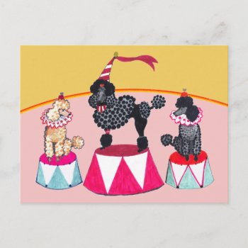 Poodle Sisters Circus Act Postcard by edentities at Zazzle
