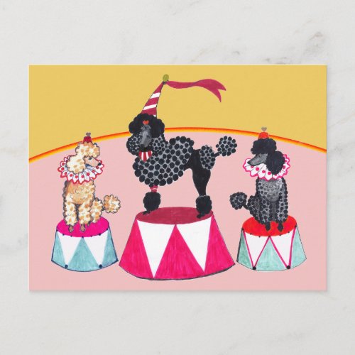 Poodle Sisters Circus Act Postcard