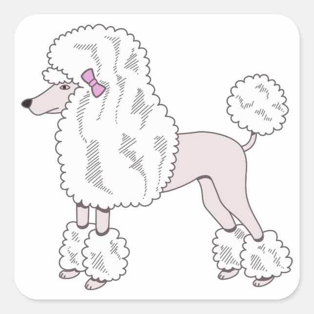 Poodle Square Sticker (Front)