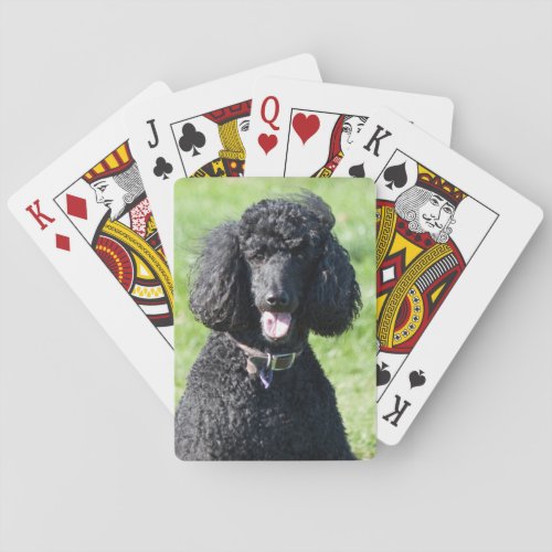 Poodle Standard dog black beautiful photo gift Poker Cards