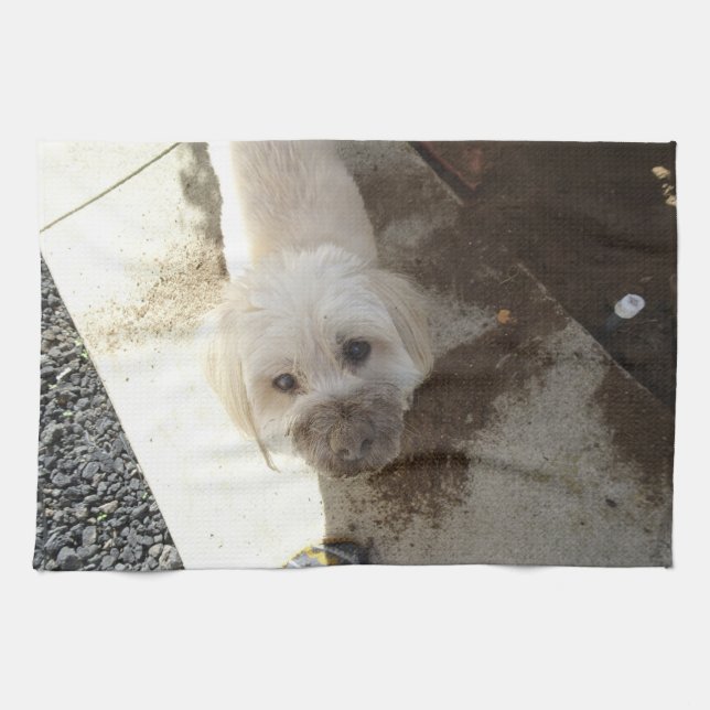 Poodle-Terrier mix with dirty face Kitchen Towel (Horizontal)