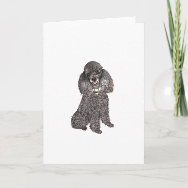 Poodle - Toy /Miniature Silver Card (Front)