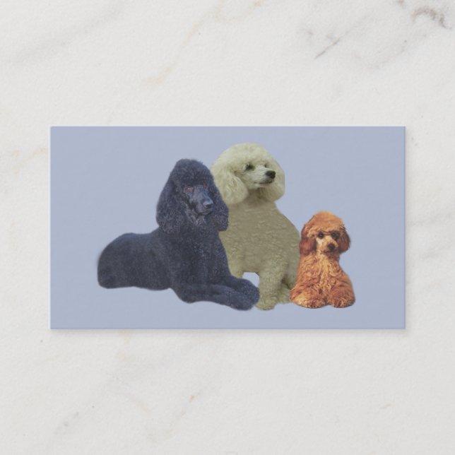 Poodle Trio Business Card (Front)