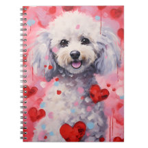 Poodle Valentines day