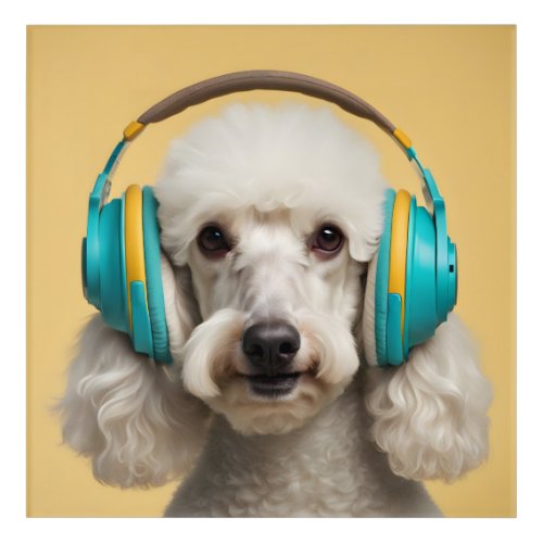 Poodle wearing headphones acrylic print