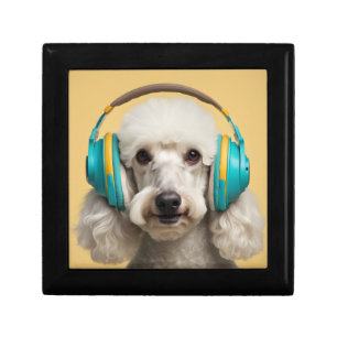 Poodle wearing headphones gift box