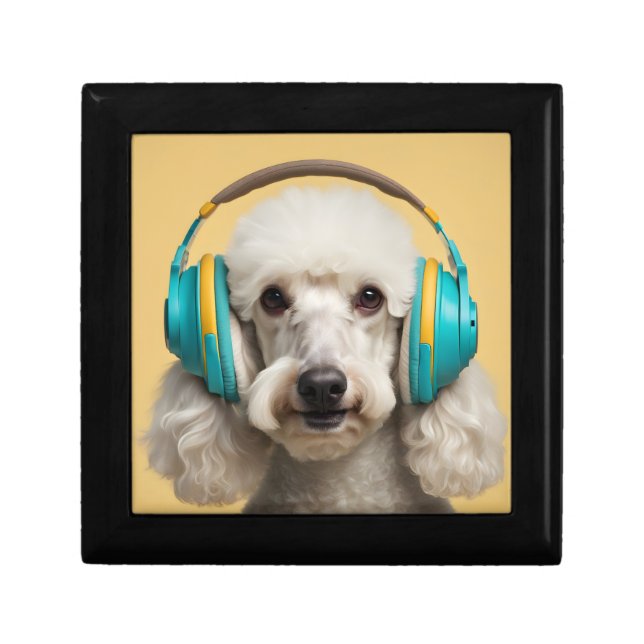 Poodle wearing headphones gift box (Front)