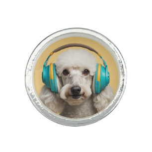 Poodle wearing headphones ring