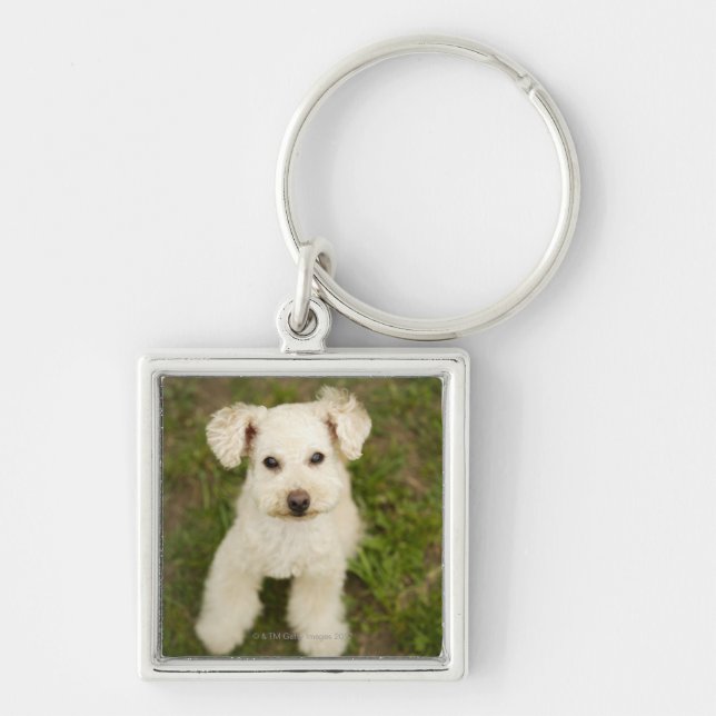 Poodle (white) keychain (Front)
