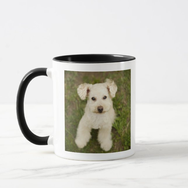 Poodle (white) mug (Left)