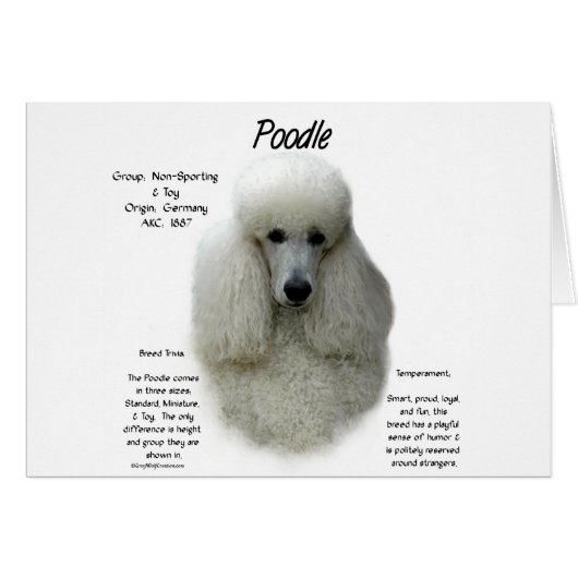 Poodle (wht) History Design (Front Horizontal)